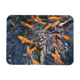Íman Peixes do Goldfish 2010