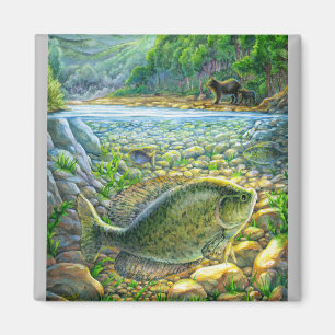 Íman Peixes do rio Montanha