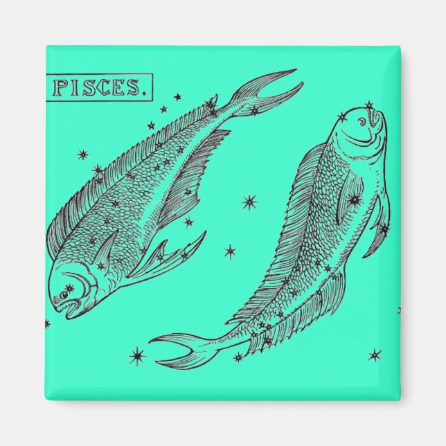 Íman Peixes Magnet (Frente)