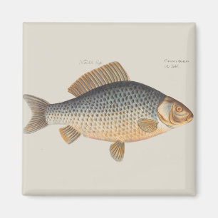 Íman Peixes+trabalho de arte+design+pesca+pesca+pesca