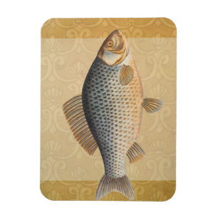 Íman Peixes+trabalho de arte+design+pesca+pesca+pesca