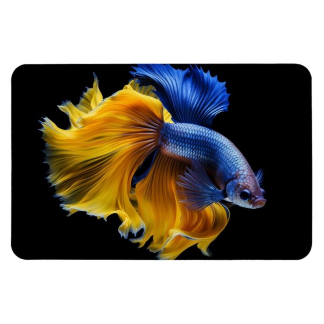 Íman Peixes Tropicais (Horizontal)