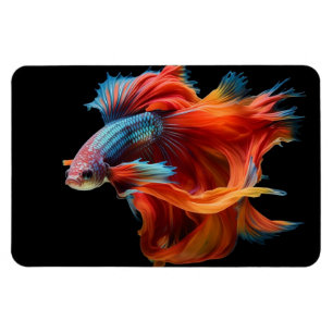 Íman Peixes Tropicais