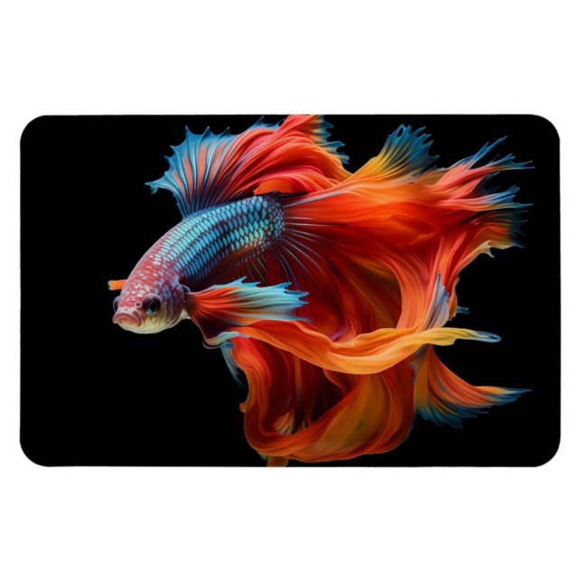 Íman Peixes Tropicais (Horizontal)