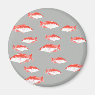 Íman Peixes vermelhos e cinzas