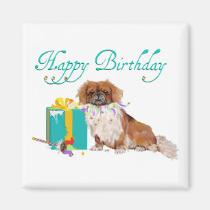 Íman Pekingese em um humor do partido