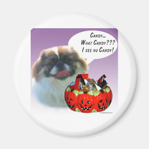 Íman Pekingese Halloween Candy