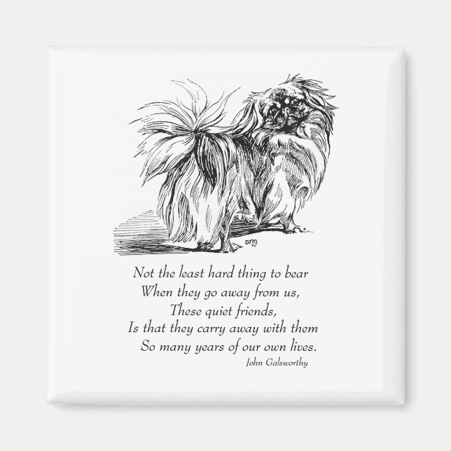 Íman Pekingese Magnet (Frente)