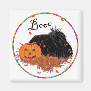 Íman Pekingese Magnet