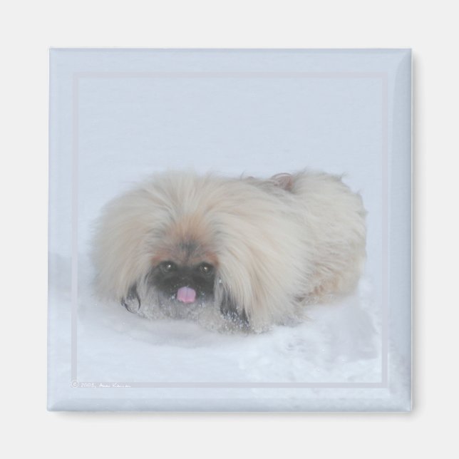 Íman Pekingese Magnet (Frente)