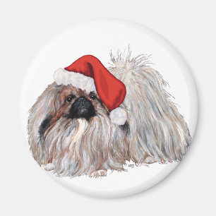 Íman Pekingese no Natal
