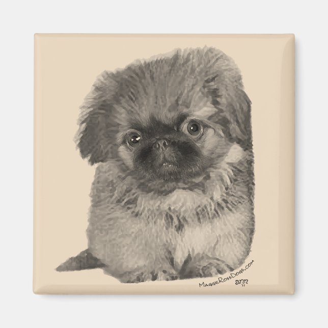 Íman Pekingese Puppy (Frente)