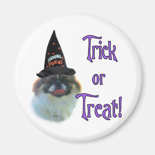 Íman Pekingese Trick