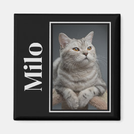 Íman Pela Ponte Do Arco-Íris Silver Pet Cat Memorial