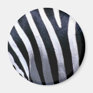 Íman Pele da zebra