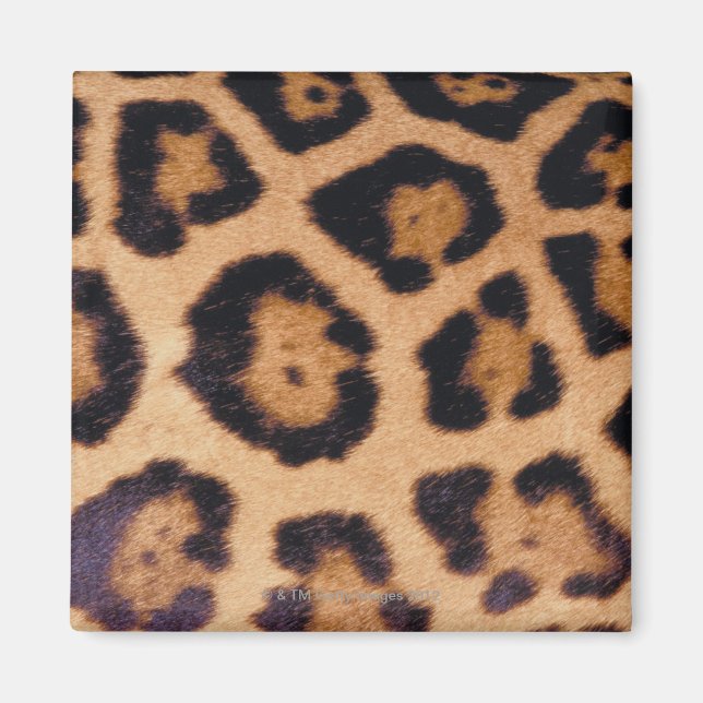 Íman Pele-leopardo (Frente)