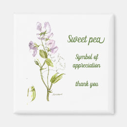 Íman Pele púrpura de pastel e pera-aquosa verde