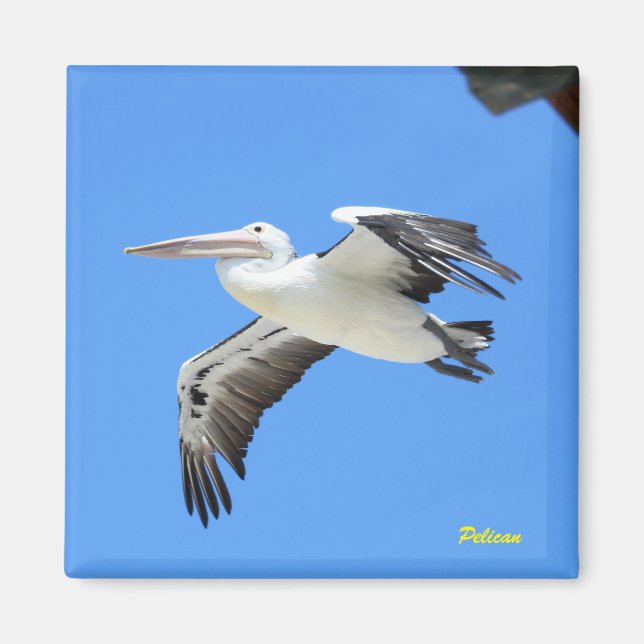 Íman Pelican (Frente)