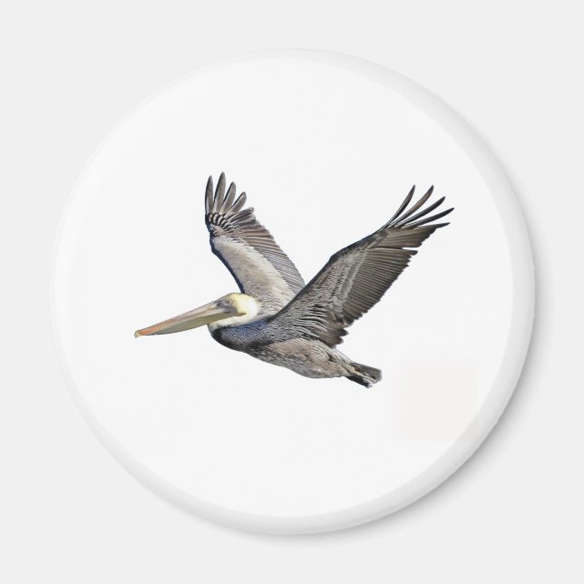 Íman Pelican Clear (Frente)