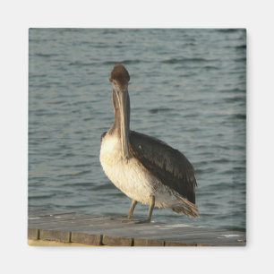 Íman Pelican. de Brown