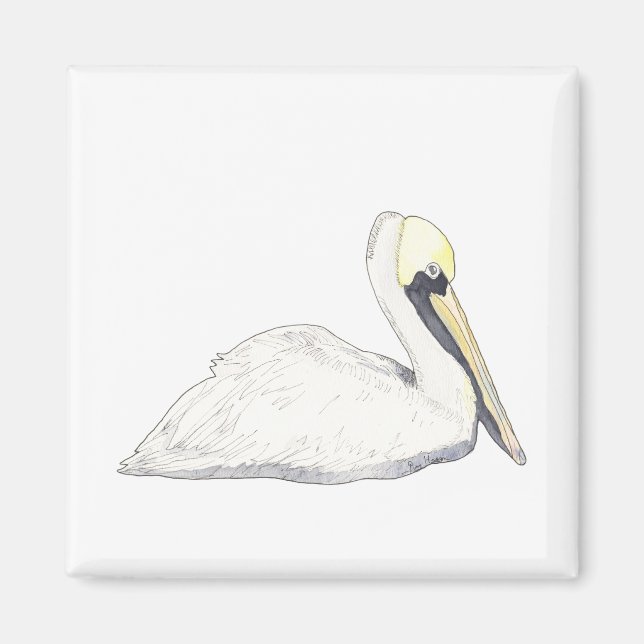 Íman Pelican Magnet (Frente)