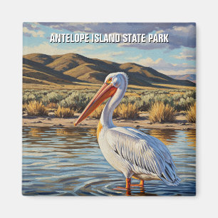 Íman Pelicano no Parque Estadual de Antelope Island, Ut