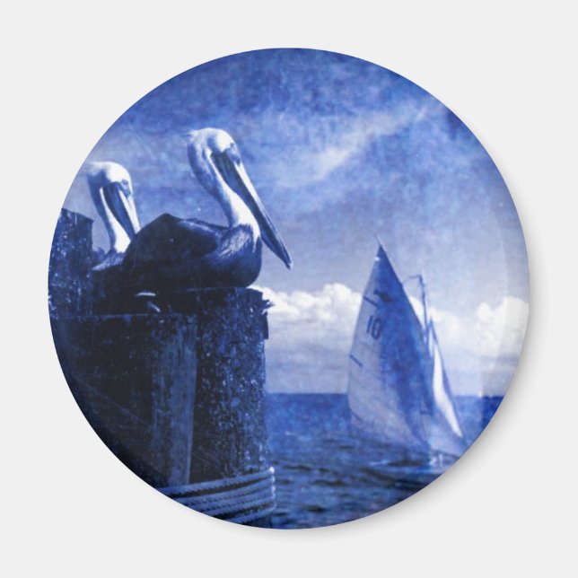 Íman Pelicanos de Azul (Frente)