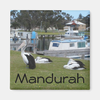 Íman Pelicanos em Mandurah