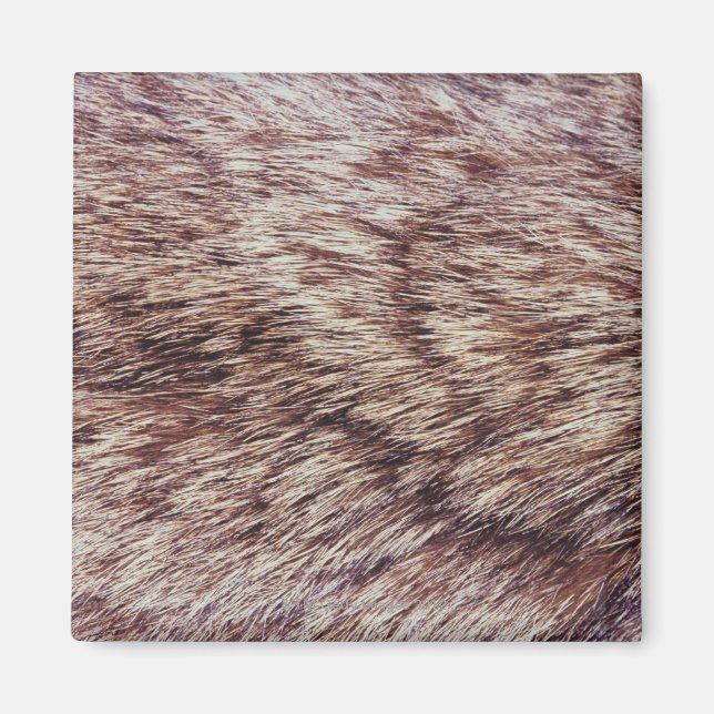 Íman pelo Lynx (Frente)