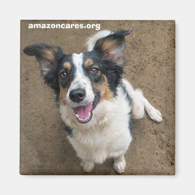 Íman Pelusa (Frente)