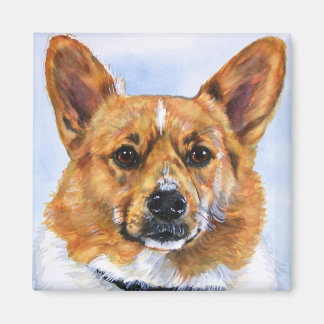 Íman Pembroke Welsh Corgi