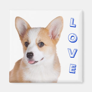 Íman Pembroke Welsh Corgi Love Refrigerator Magnet