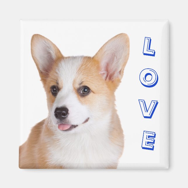 Íman Pembroke Welsh Corgi Love Refrigerator Magnet (Frente)