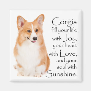 Íman Pembroke Welsh Corgi Magnet #1