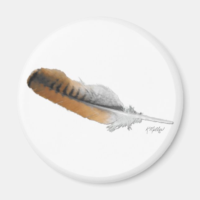 Íman pena de Falcão-de-cauda-vermelha (Frente)