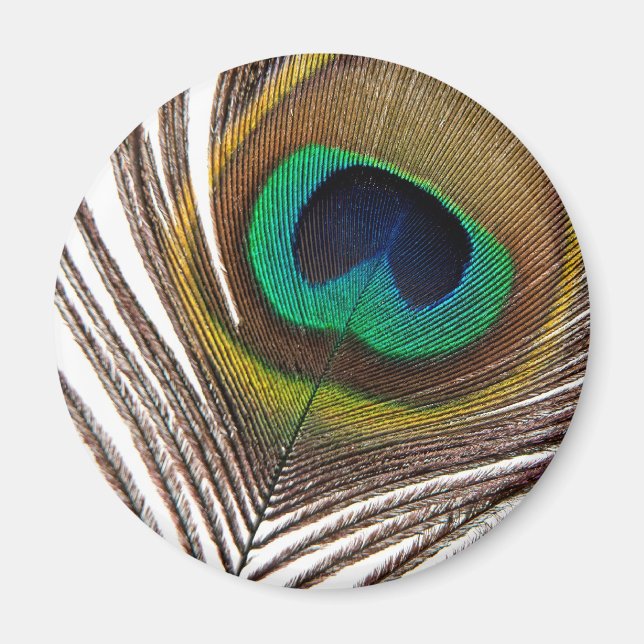 Íman Pena de Peacock (Frente)