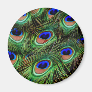 Íman Penas de Peacock