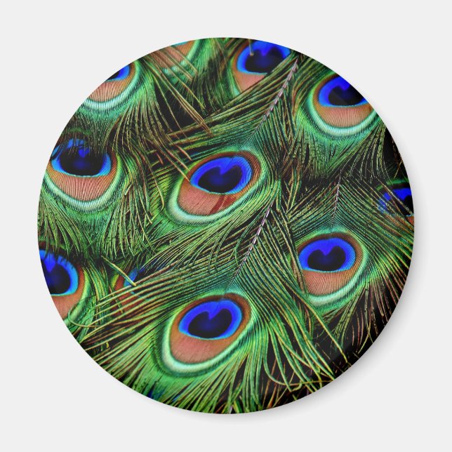 Íman Penas de Peacock (Frente)