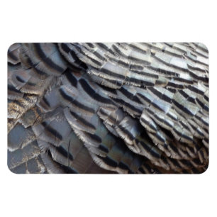 Íman Penas de Peru Selvagem II Design Abstrato da Natur