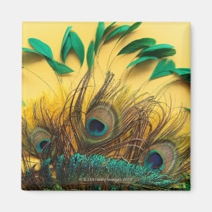 Íman Penas diferentes do pavão