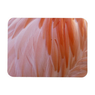 Íman Penas Flamingo em tons de rosa