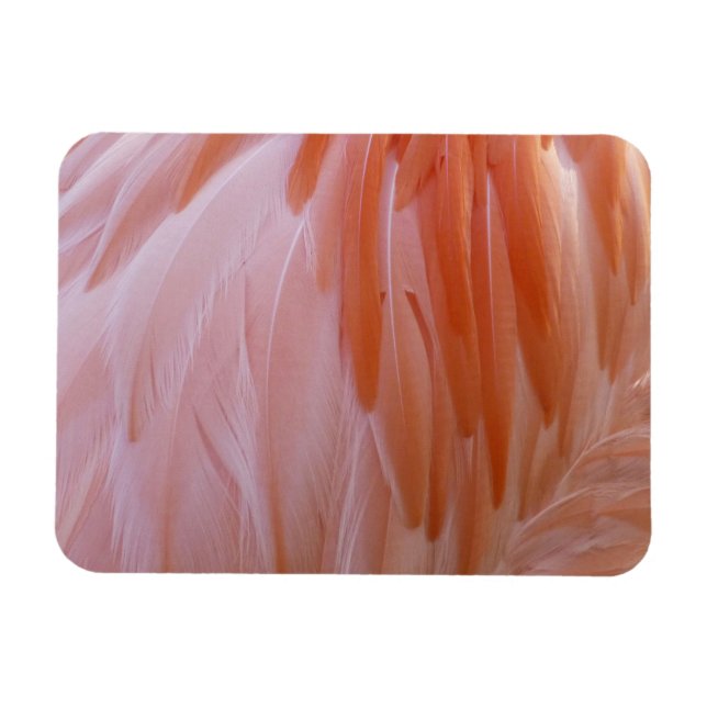 Íman Penas Flamingo em tons de rosa (Horizontal)