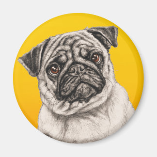 Íman Pencil Pug