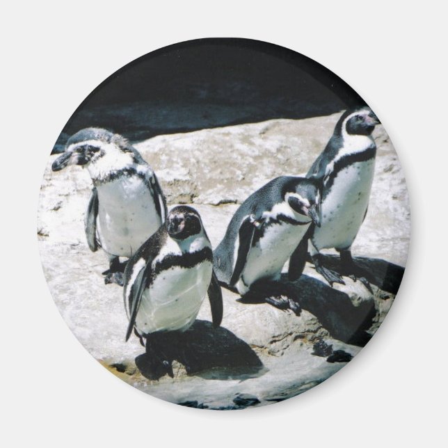 Íman Penguin Magnet (Frente)