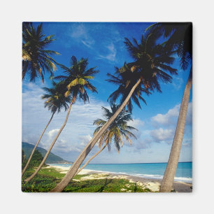 Íman Península de La Samana, República Dominicana,