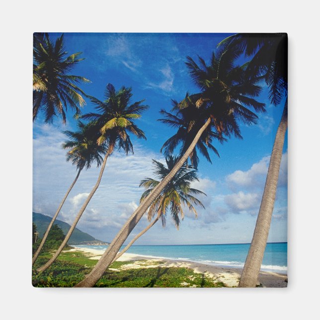 Íman Península de La Samana, República Dominicana, (Frente)