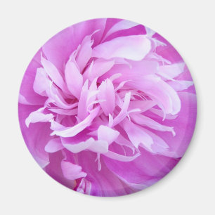 Íman Península Rosa - Magnet