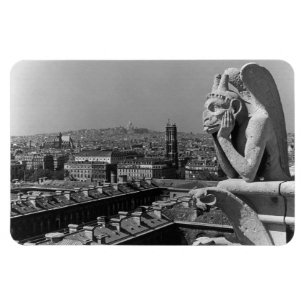 Íman Pensador da catedral de France Paris Notre Dame do