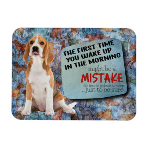 Íman Pensamento hilário do seu Beagle