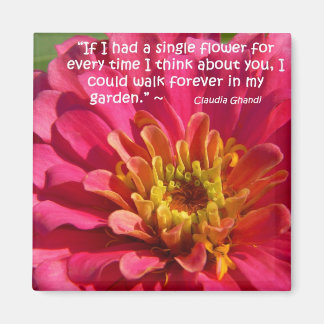 Íman Pensando Em Você...